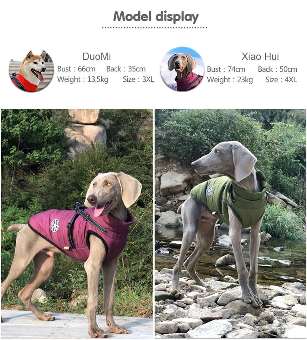 Waterproof Reflective Winter Dog Jacket