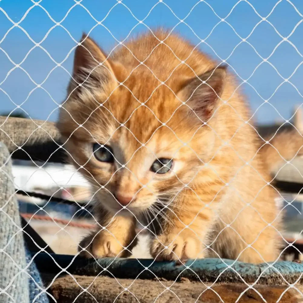Cat Safety Net for Balconies, Windows & Stairs – Anti-Fall Nylon Mesh