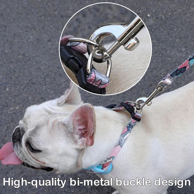 Reflective Breathable Mesh Dog Collar with Double D-Ring – All Sizes