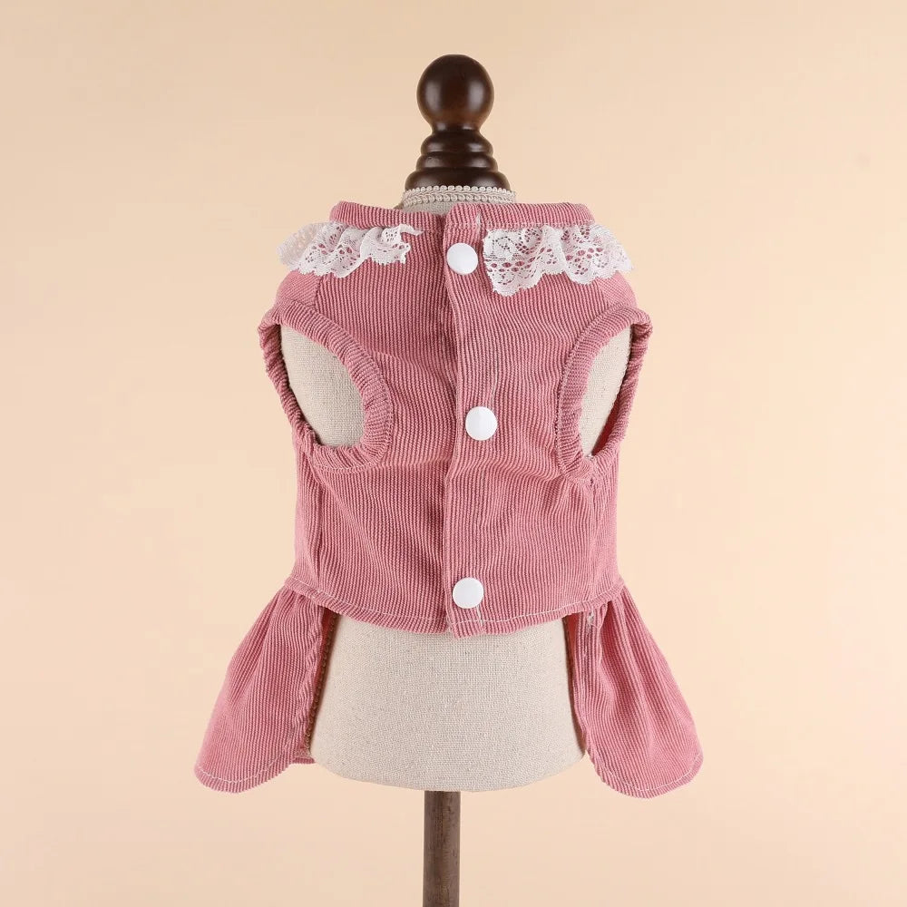 Robe et Jupe de Mariée de Princesse pour Petits Chiens et Chats