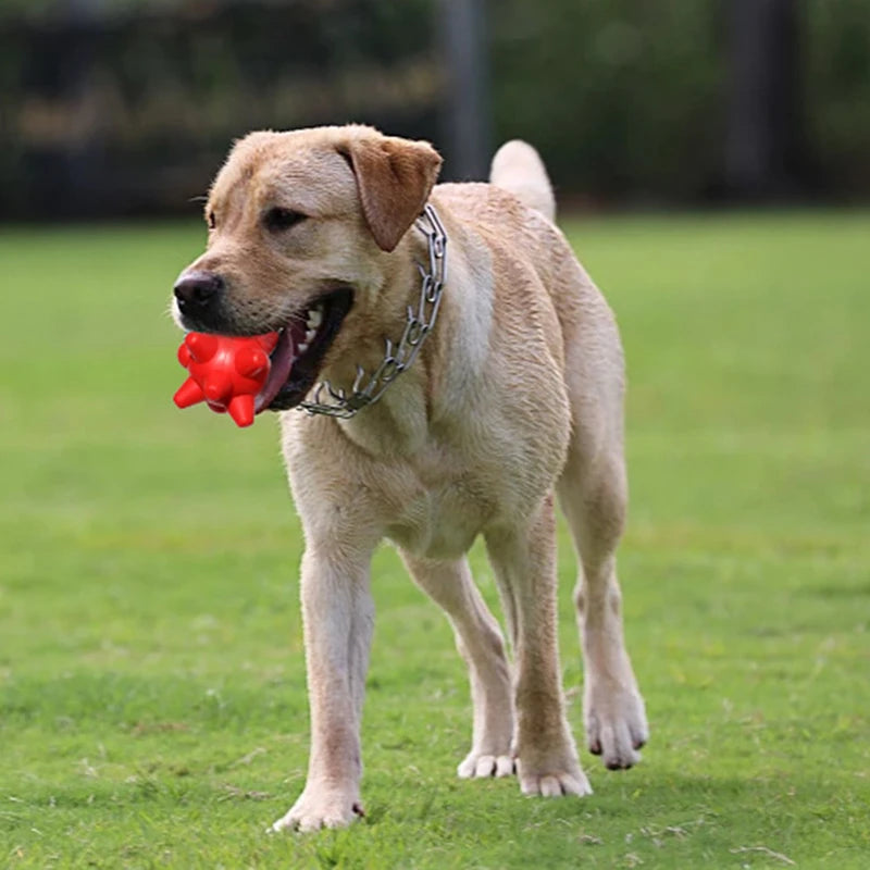 Bite-Resistant Chew Toys for Dogs