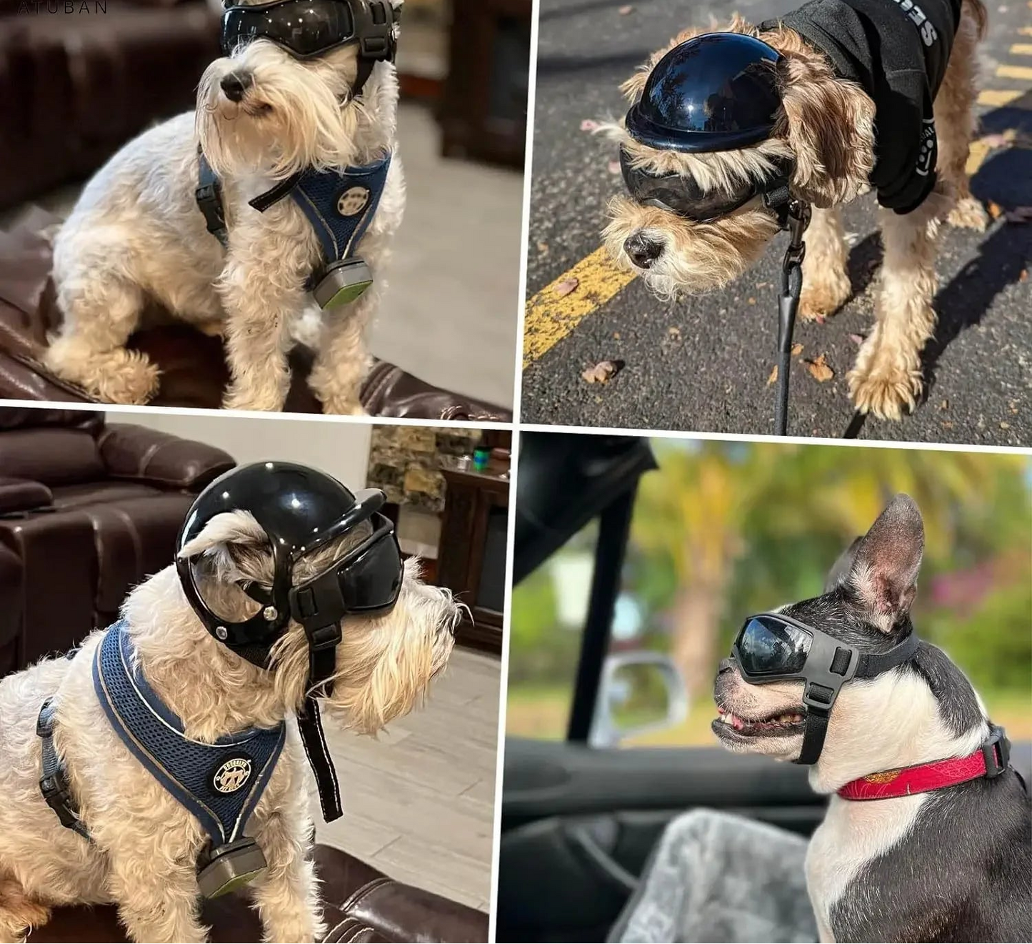 Dog Motorcycle Helmet & Goggles Set - Adjustable Safety Gear for Small Dogs