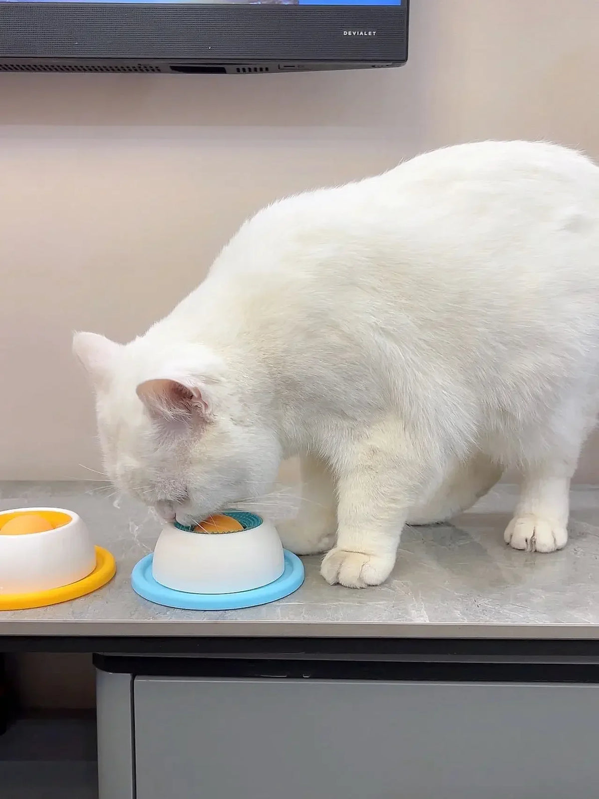 Lick Mat Slow Feeder for Dogs & Cats