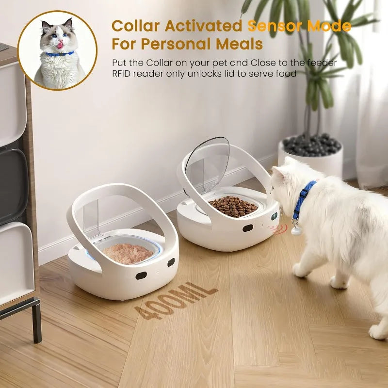 RFID Selective Cat Feeder with Ice Pack Cooling
