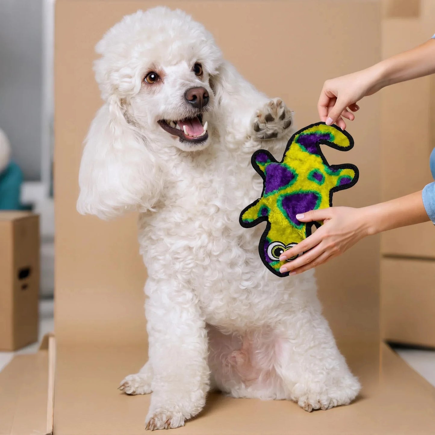 Peluche Gecko Jouet à mâcher interactif pour petits chiens