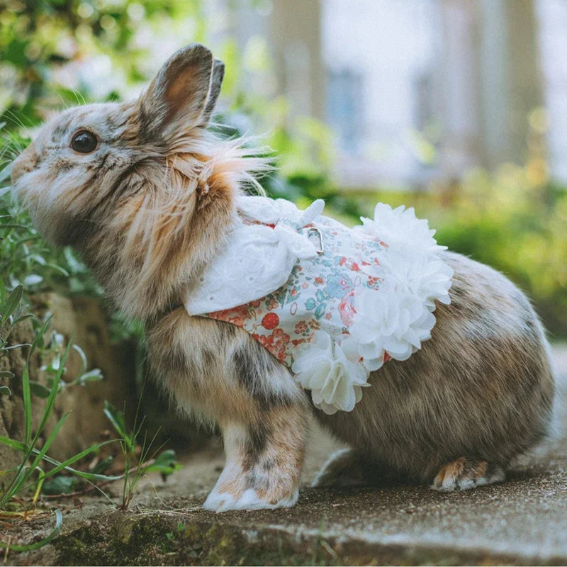 Adjustable Harness & Leash Set for Rabbits & Kittens