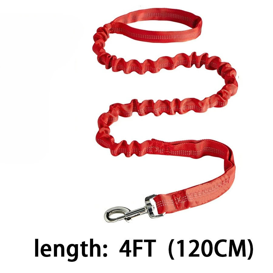 Laisse de dressage élastique antichoc pour chien