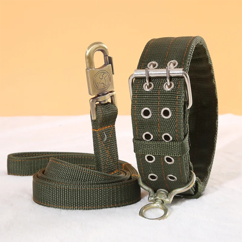 Ensemble laisse et collier pour chien en nylon robuste