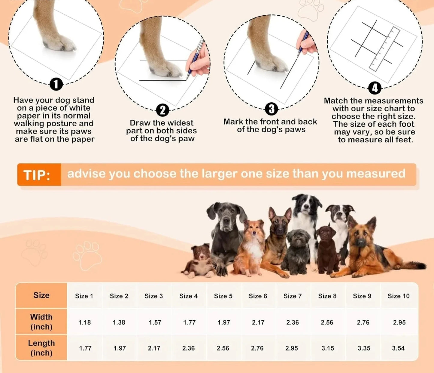 Chaussures pour chien pour trottoir chaud