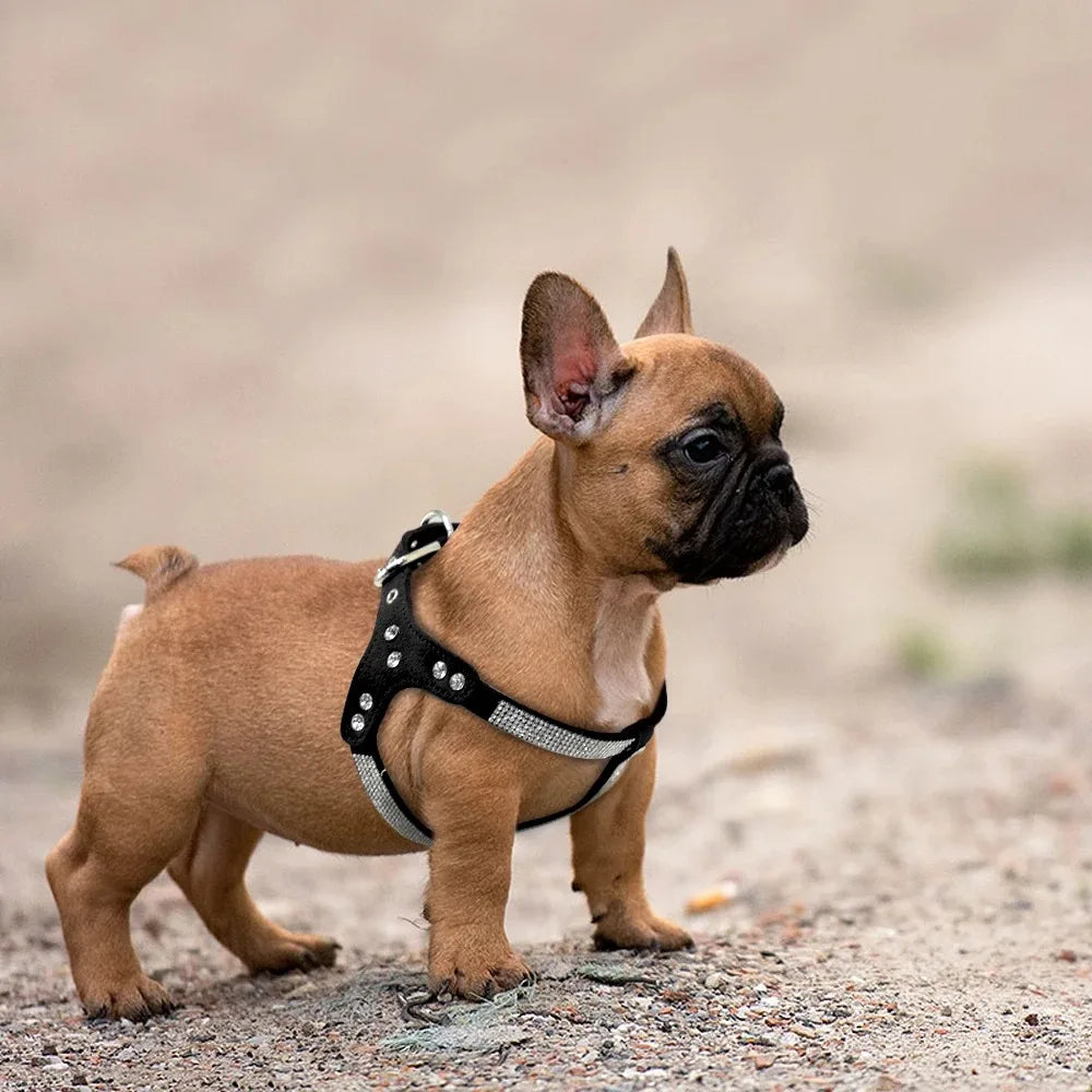 Harnais universel pour chien – Accessoires pour animaux de compagnie petites et grandes races