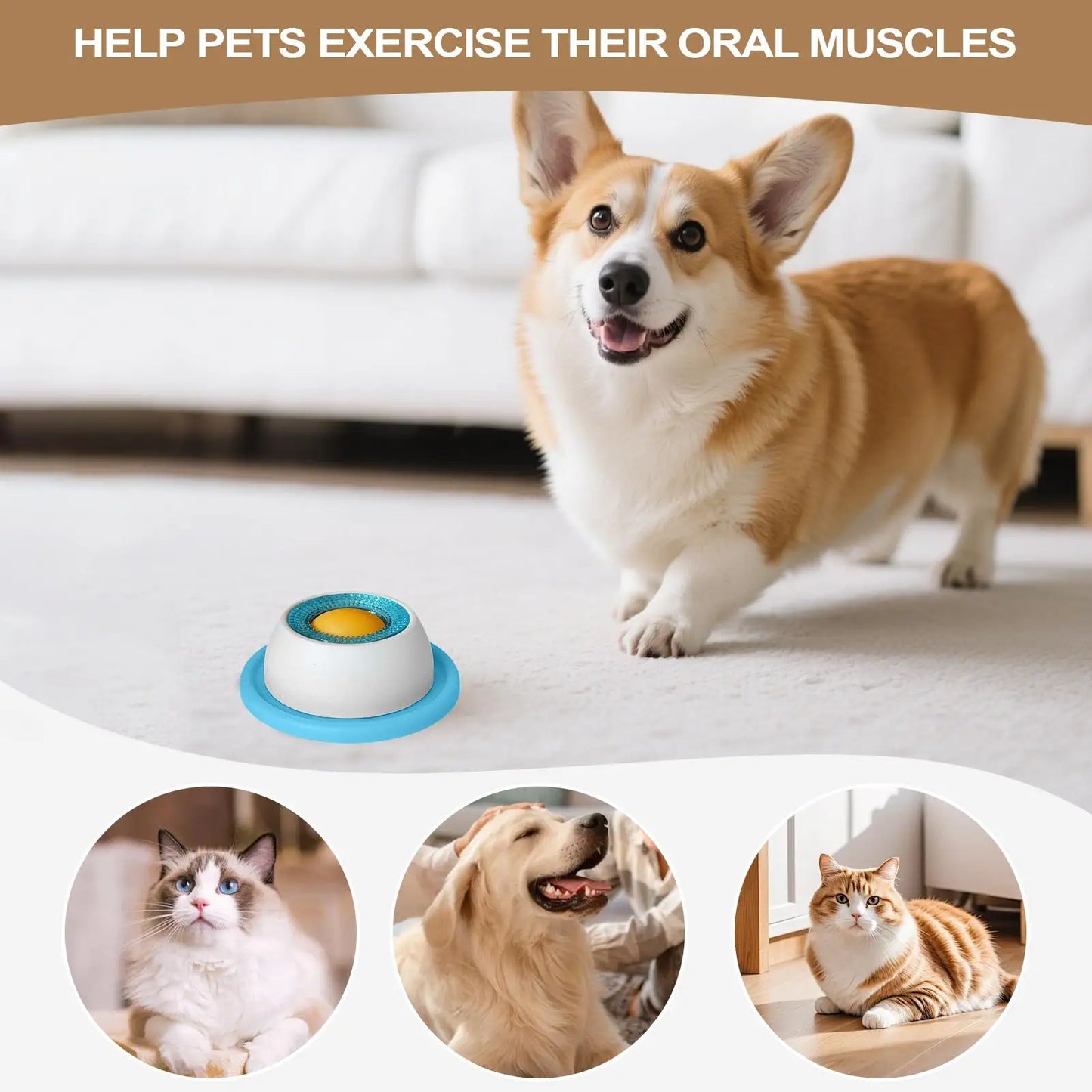 Slow Feeder Lick Mat & Puzzle Toy for Dogs & Cats