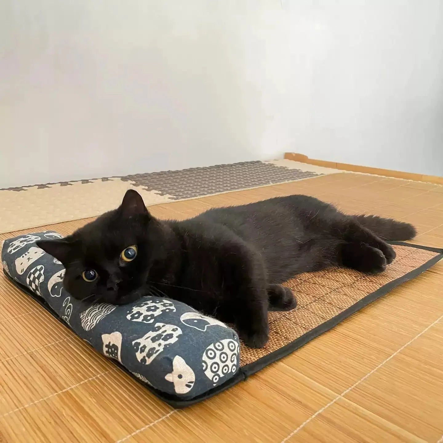 Lit rafraîchissant pour animaux de compagnie - Chats et Chiens