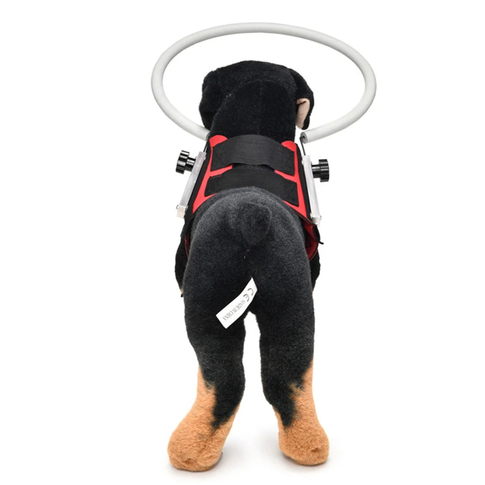 Anti-Collision Halo Collar for Blind & Visually Impaired Dogs