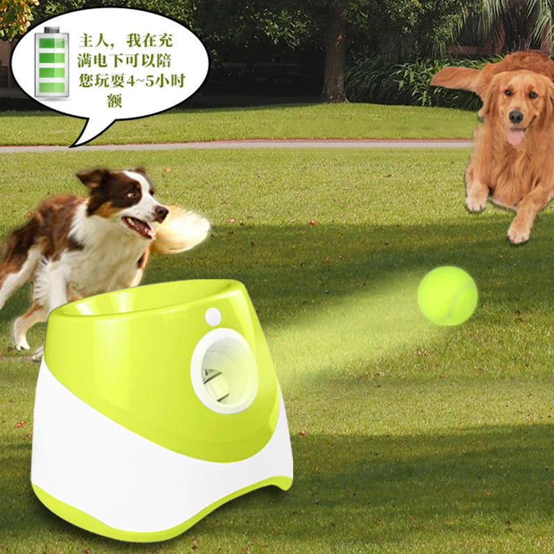 Interactive Dog Ball Trainer Toy