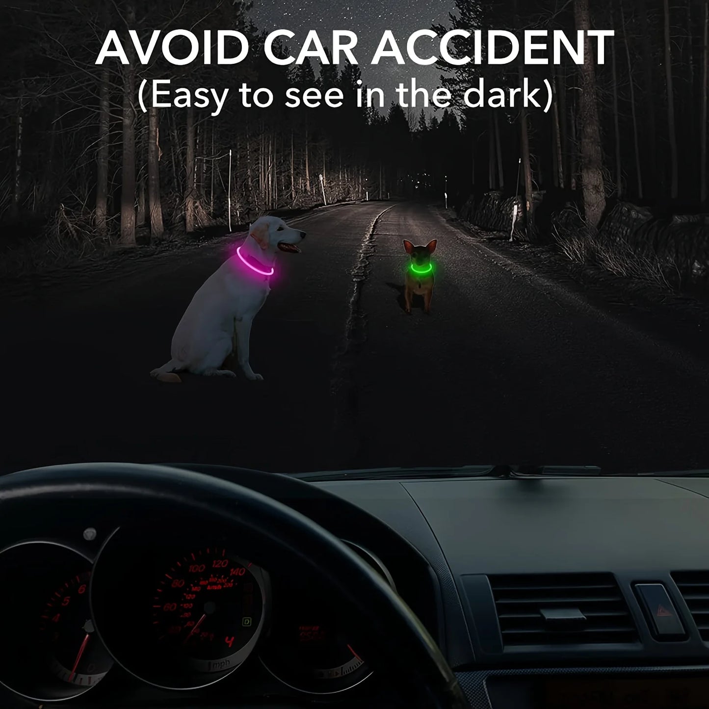 Collier lumineux LED pour chien - Collier de sécurité rechargeable par USB pour une visibilité nocturne