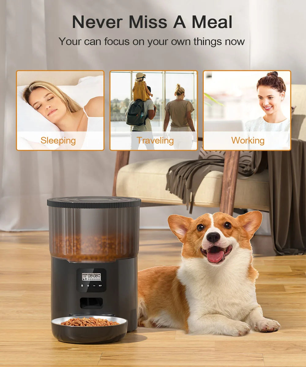 4L Pet Feeder Tuya WIFI Automatic Dog Food Dispenser Smart Cat Feeder 2L Cat Automatic Drinking Fountain Dog Water Feeder