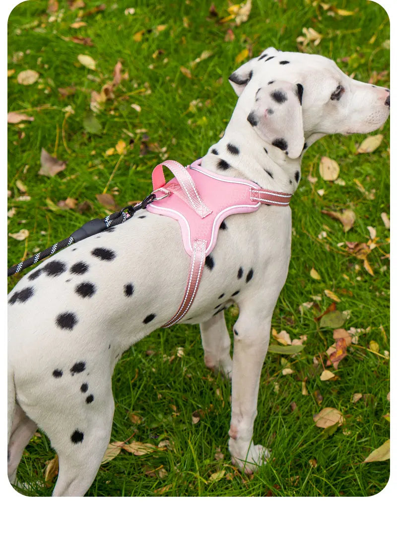 Ultra-Light Dog Harness Vest — Quick-Fit Saddle Design, No-Pull Chest Strap & Escape-Proof