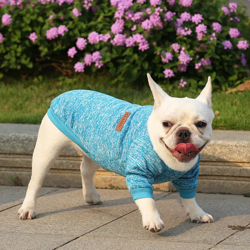 Winter Pet Jacket - Warm Coat for Dogs and Cats