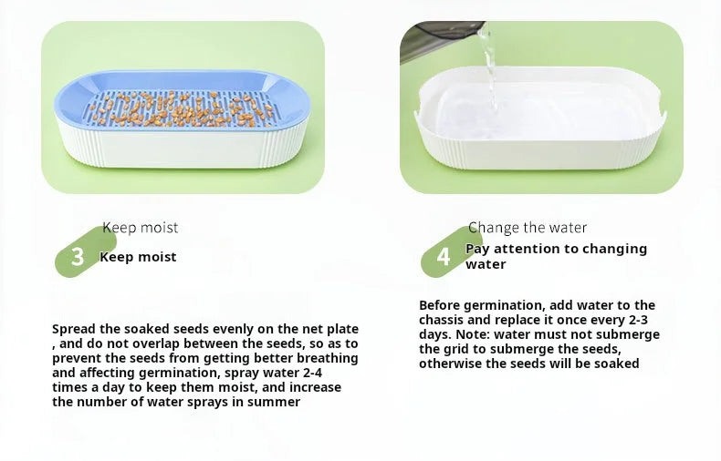 Kit de culture d'herbe à chat hydroponique – Ensemble de plantation sans terre pour friandises fraîches pour chats