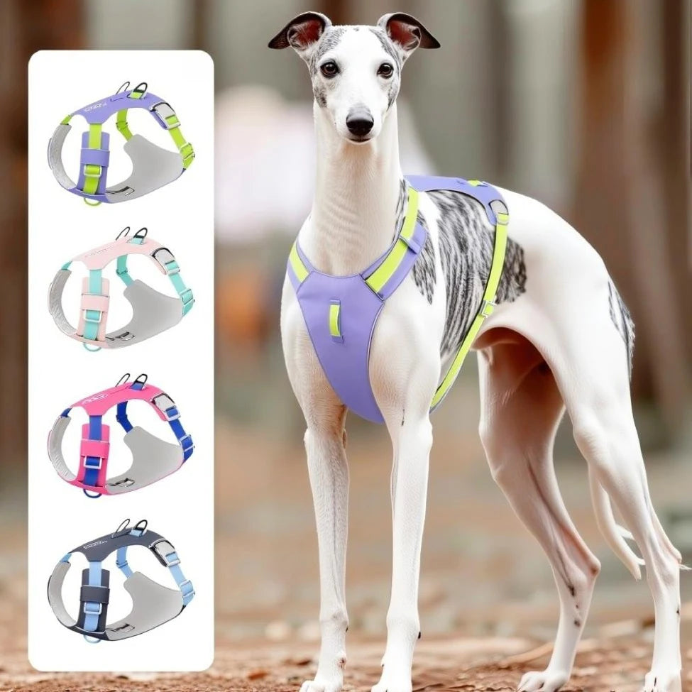 Lightweight No-Pull Reflective Dog & Cat Harness Vest
