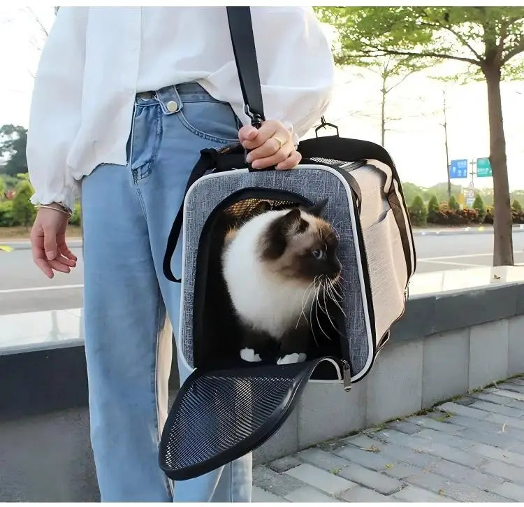 Foldable Pet Travel Carrier