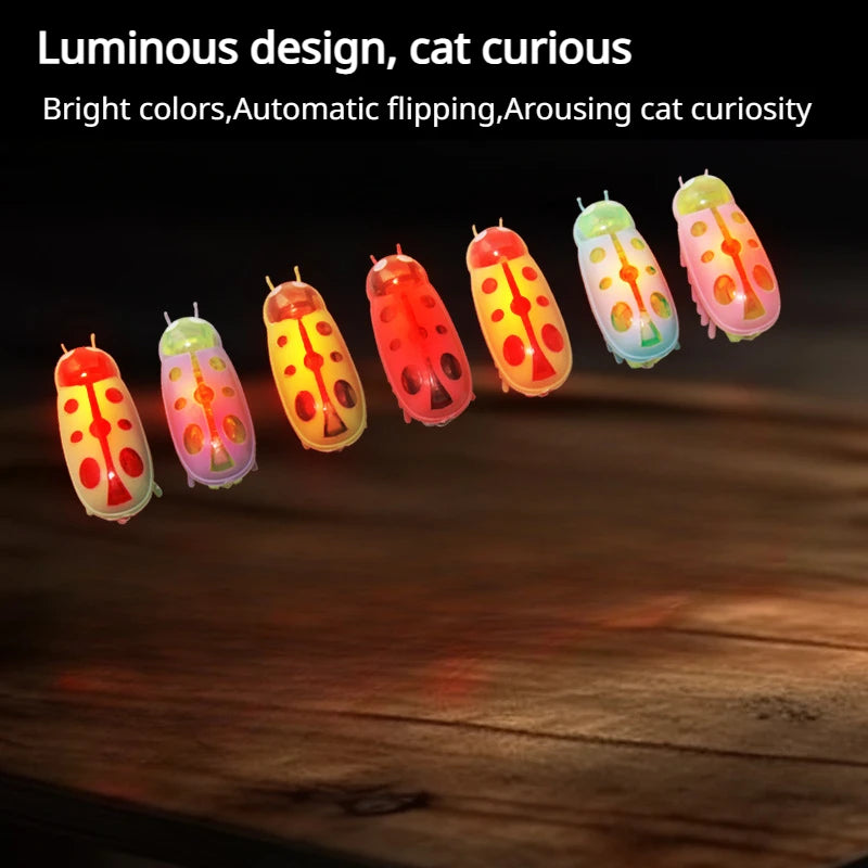Electronic Cat Bug & Mouse Toys