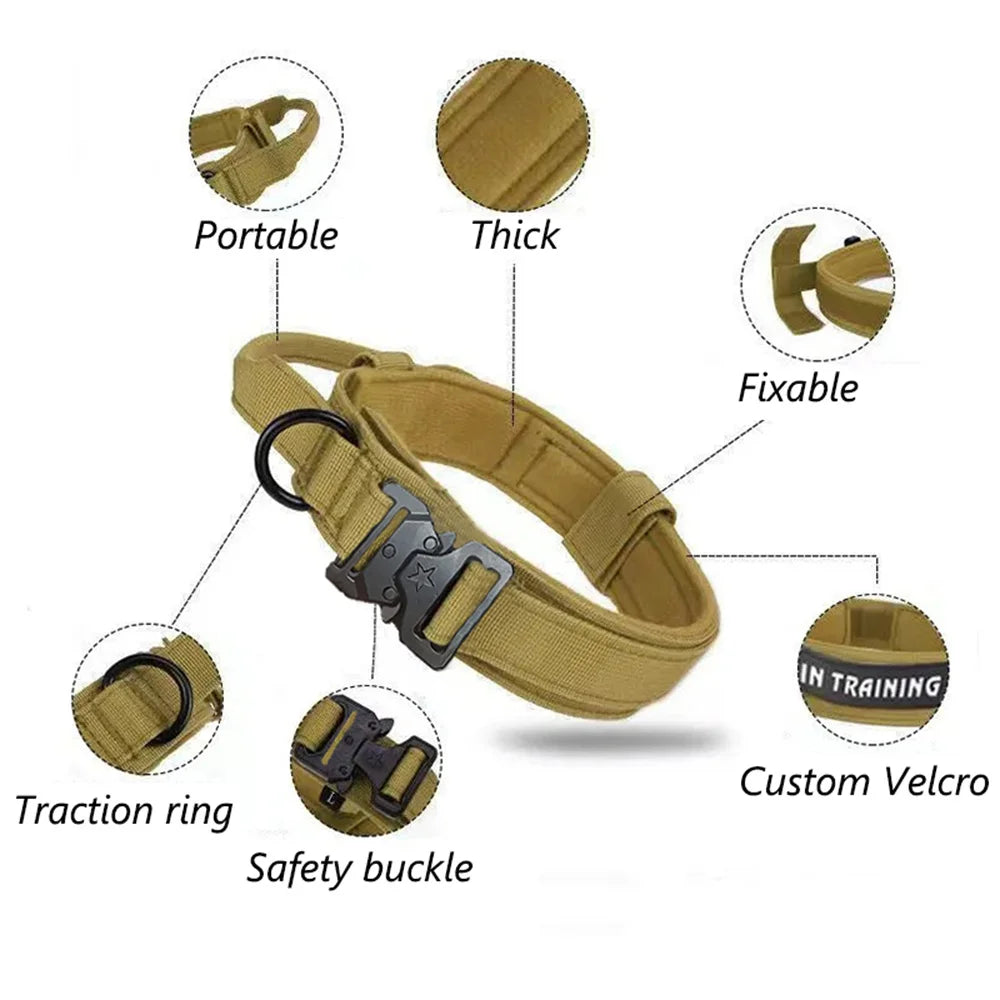 Durable Nylon Dog Collar & Leash Set for Large Dogs