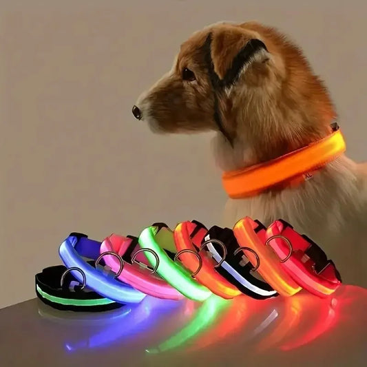 Nylon LED Night Safety Flashing Glow in the Dark Dog Leash - Luminous Fluorescent Pet Dog Collar
