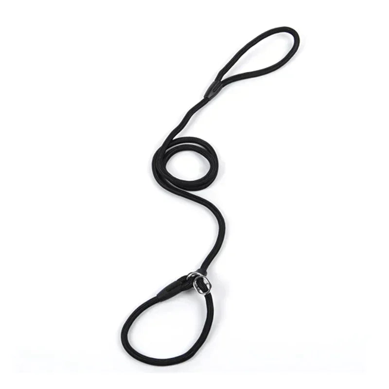 Comfortable Nylon Dog Leash and Collar Set