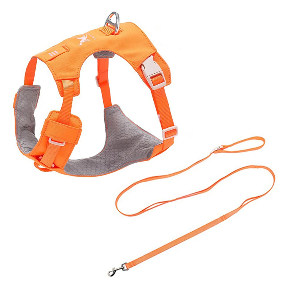 Lightweight Dog Harness & Leash Set Anti-Pull Escape-Proof Pet Walking Lead for Small Medium Large Dogs