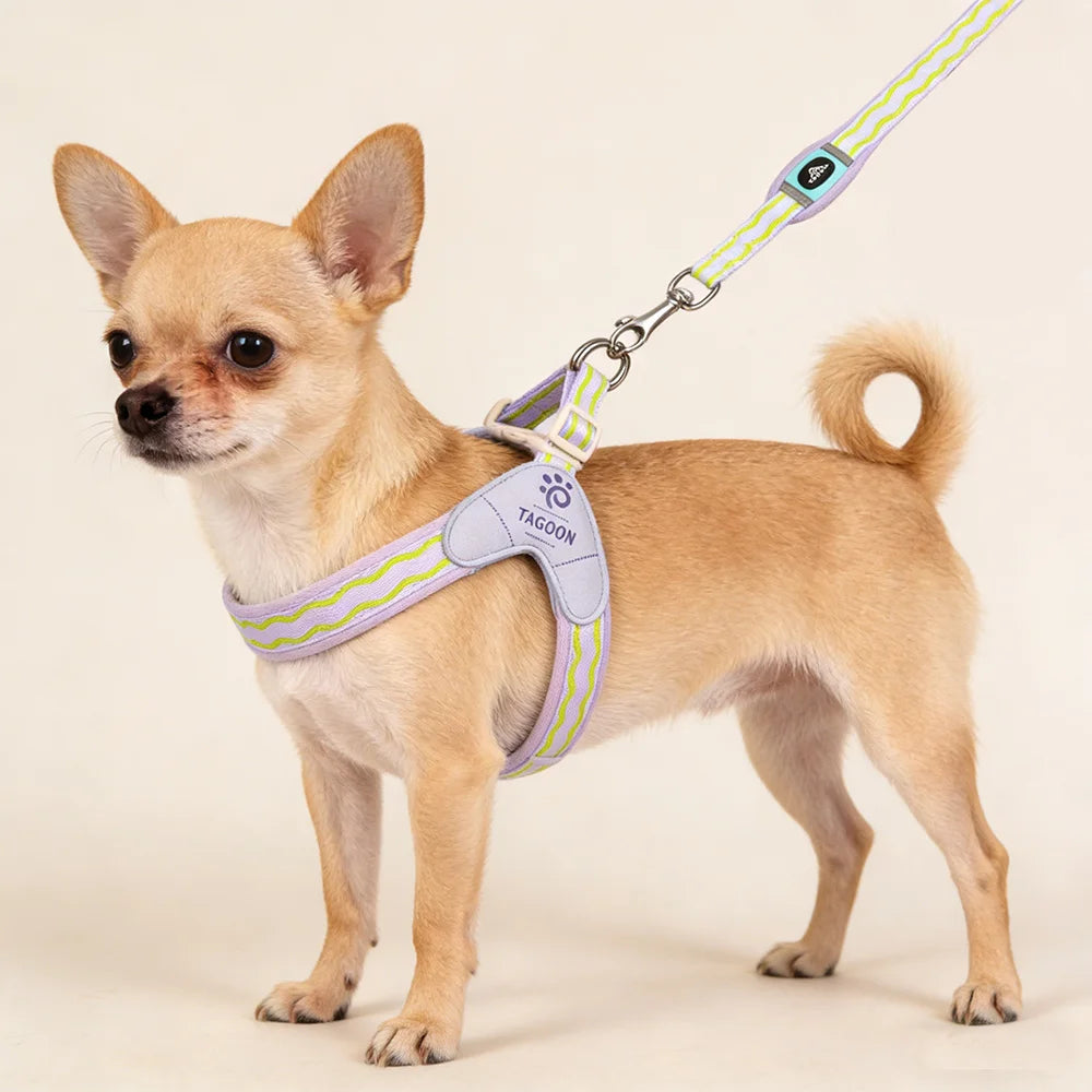 Dopamine Saddle Dog Harness with Leash Set for Small Dogs Comfortable Mesh Breathable Pet Harness for Schnauzer Shiba Inu Puppy