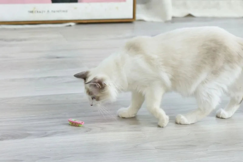 Electronic Cat Bug & Mouse Toys