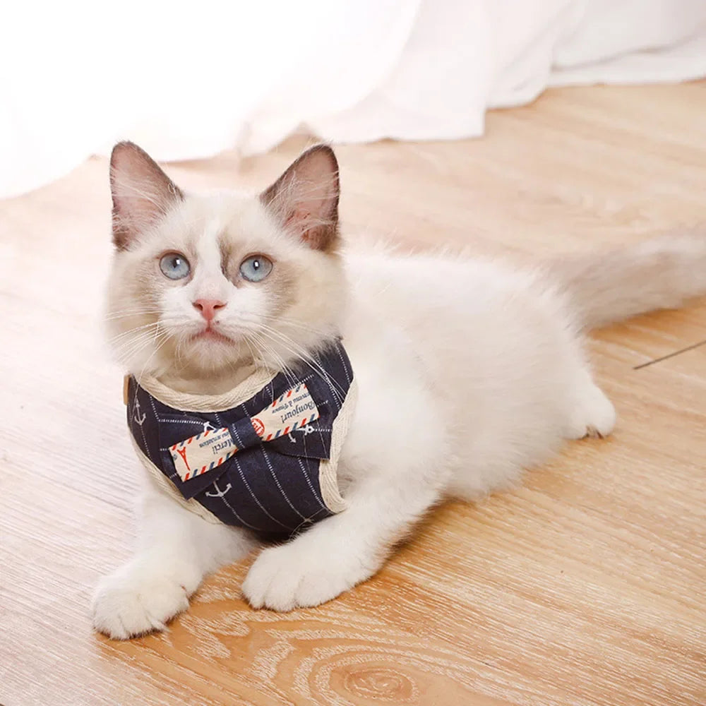Nylon Mesh Cat & Small Dog Harness Set