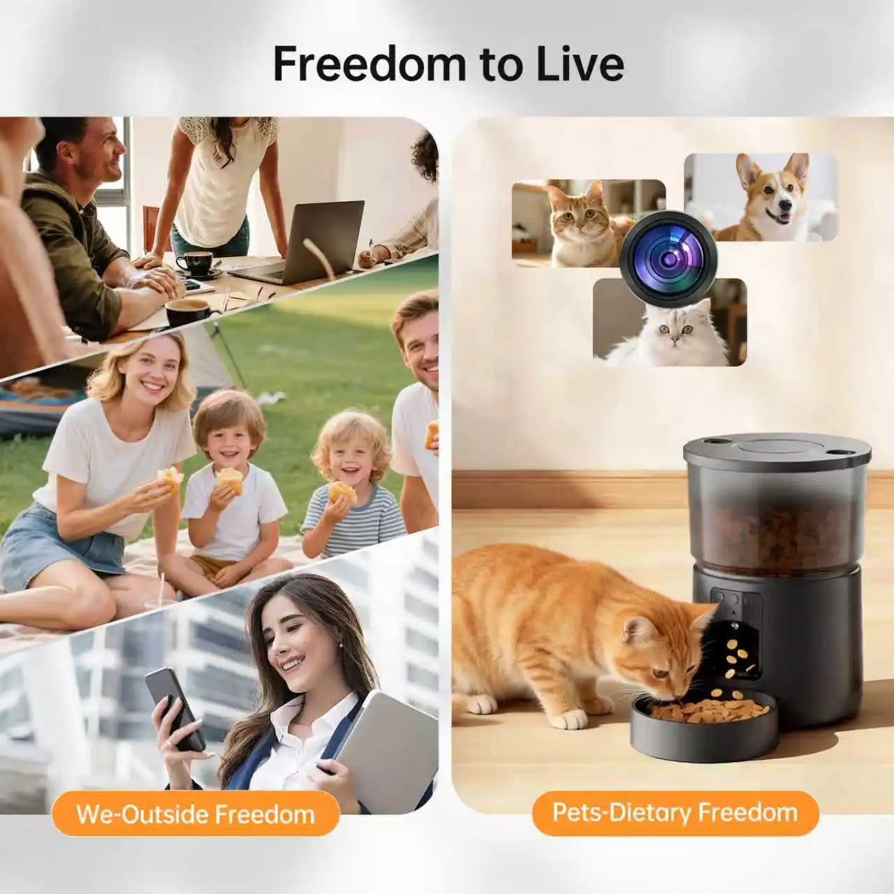 Distributeur automatique de croquettes avec caméra, mangeoire intelligente WiFi double bande pour chats et chiens, conception anti-blocage + interphone vocal