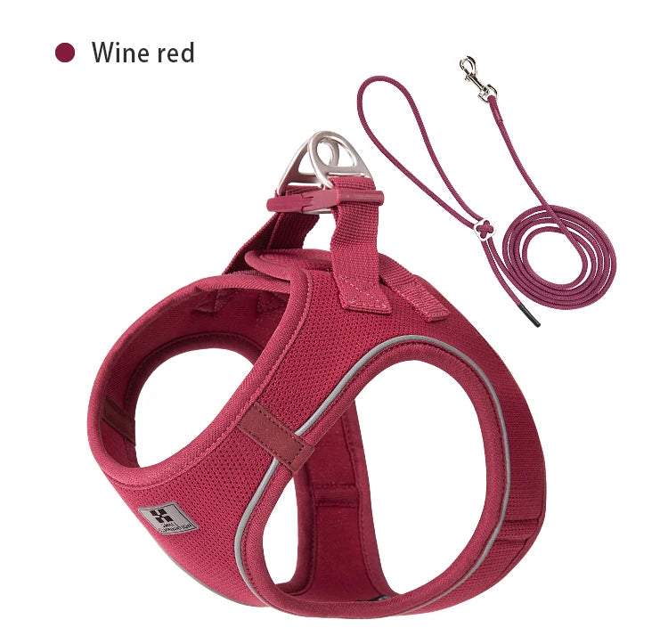 Reflective Dog & Cat Harness with Leash Set