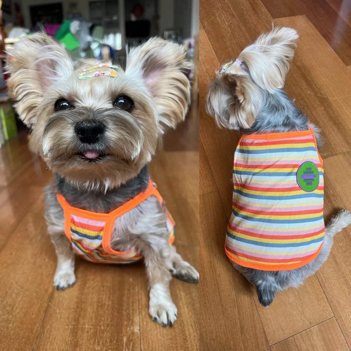 Striped Cooling Vest & Summer Shirt for Small & Medium Dogs & Cats