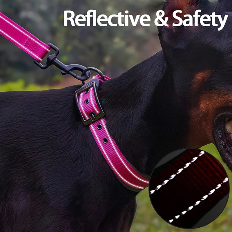 Padded Reflective Dog Collar | Adjustable Heavy-Duty Nylon & Neoprene