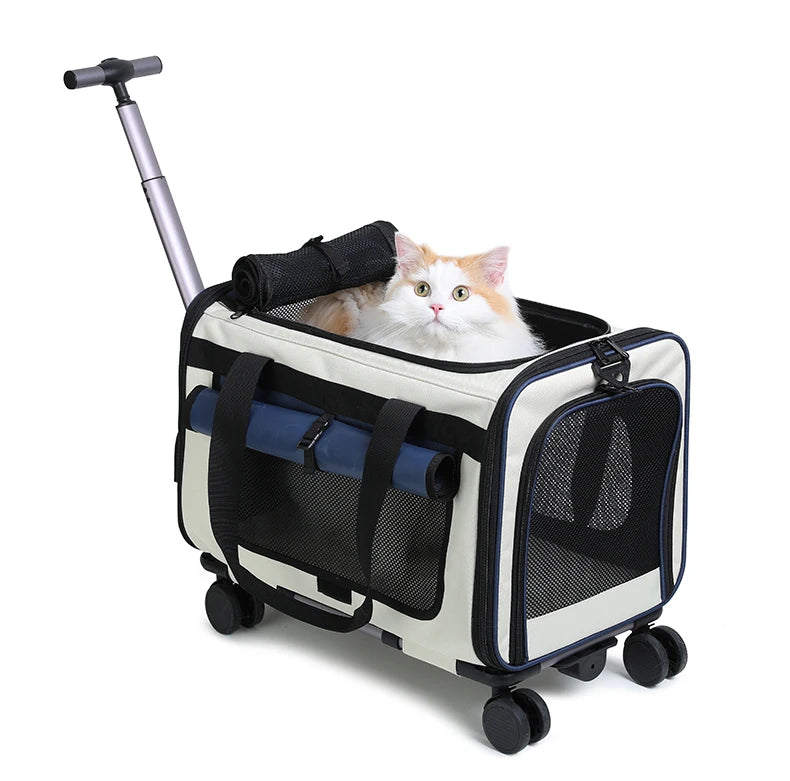 Sac de transport pliable pour animaux de compagnie — Grande valise de voyage détachable
