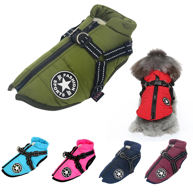 Veste imperméable pour chien avec harnais
