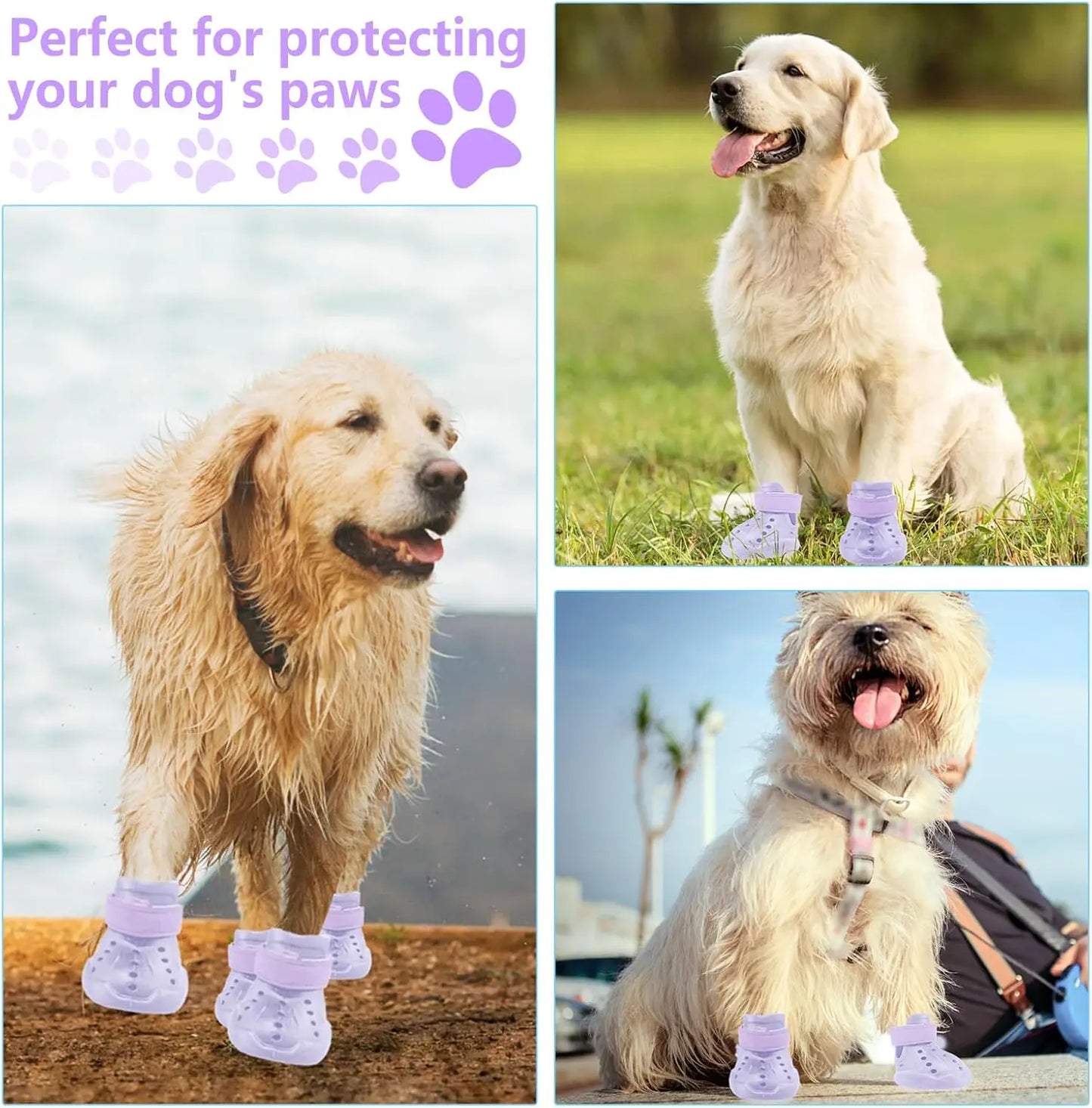 Bottes imperméables pour chien avec semelle antidérapante