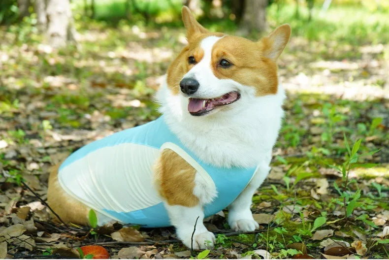 Ice Silk Cooling Vest with Sun Protection for Dogs & Cats
