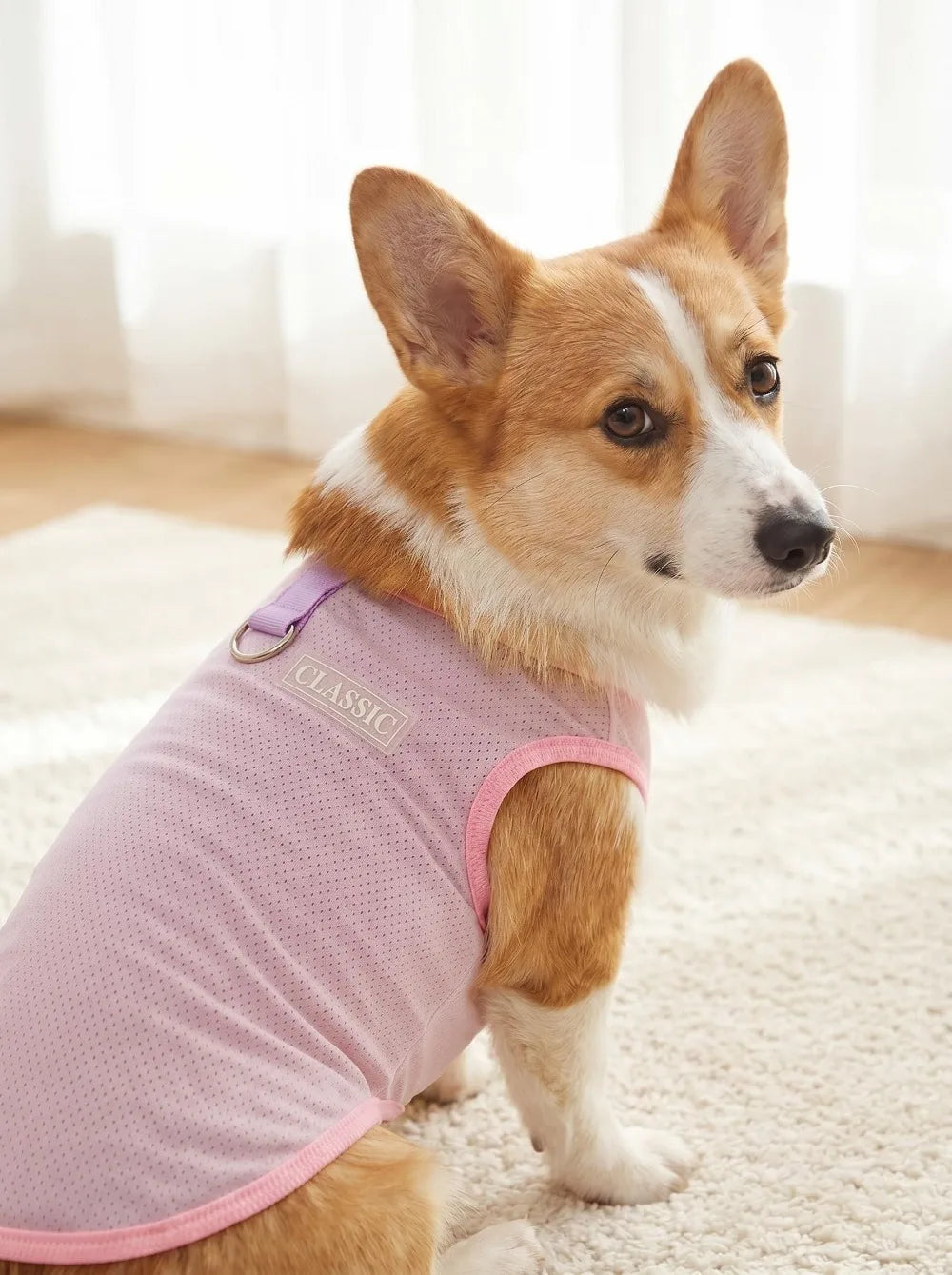 Breathable Mesh Cooling Vest with D-Ring for Small Dogs