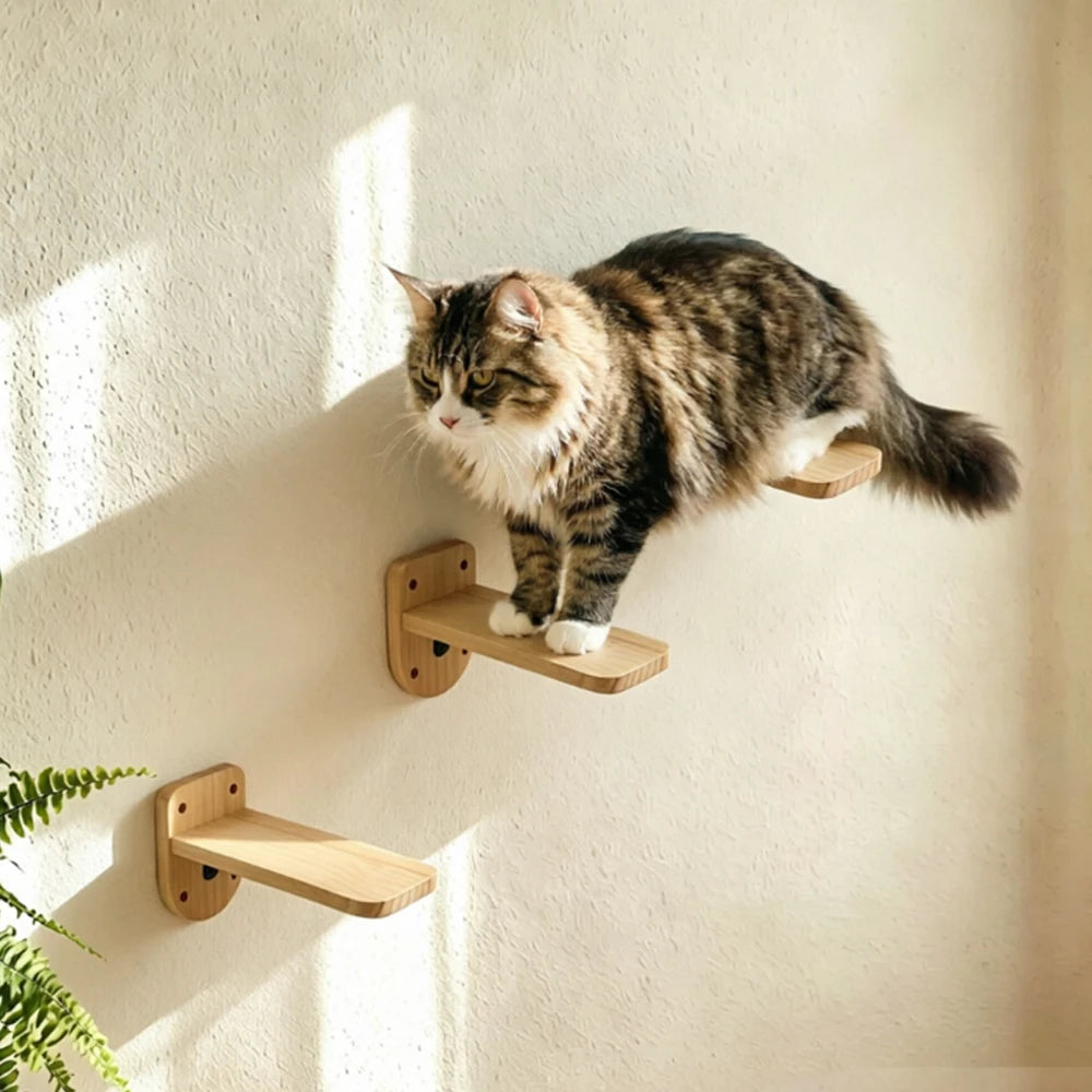 Wall-Mounted Cat Climbing Shelves & Perches