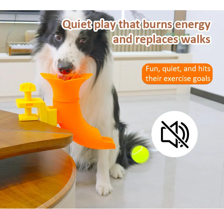 Table-Clip Dog Ball Return Toy