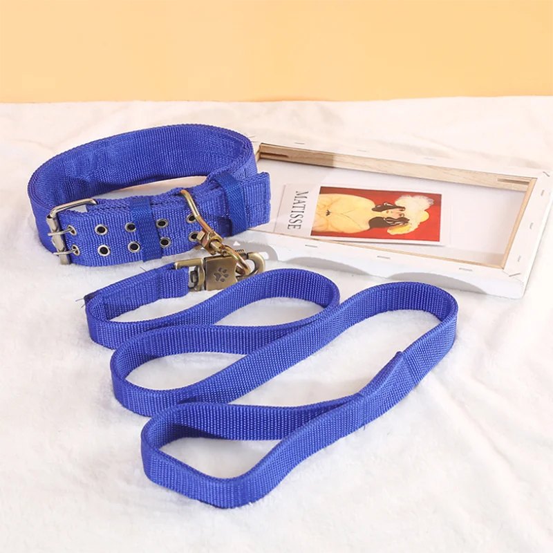 Ensemble laisse et collier pour chien en nylon robuste