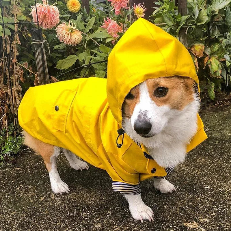 Waterproof Striped Raincoat for Dogs