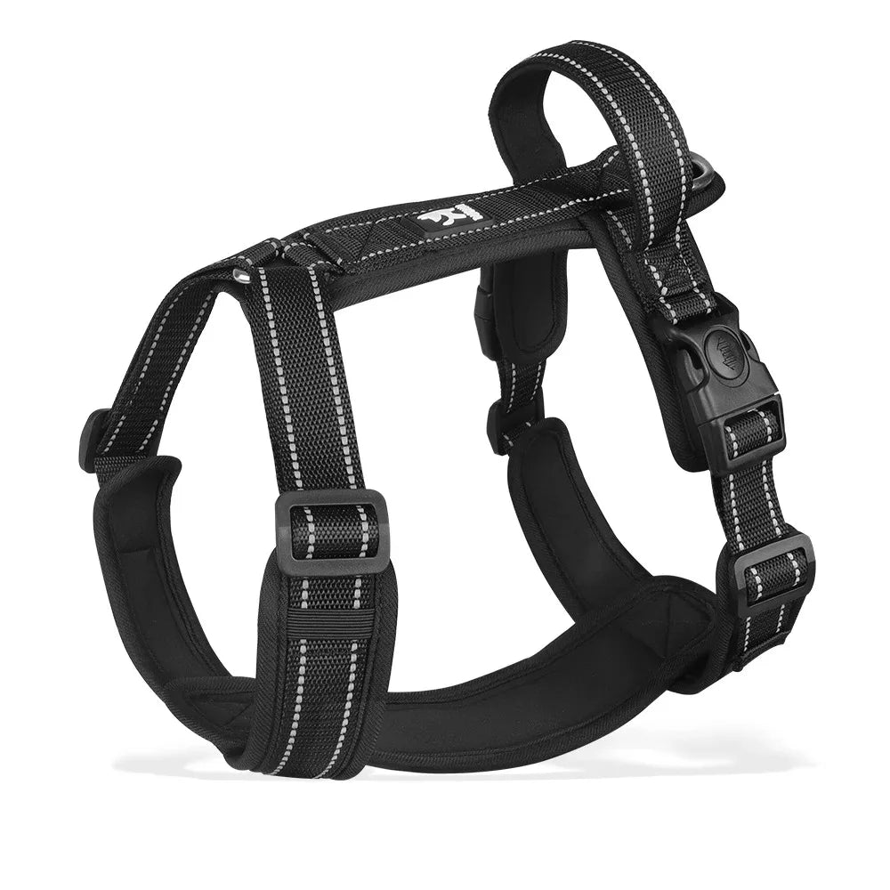 Ensemble Harnais et Collier Professionnel pour Dressage de Chien