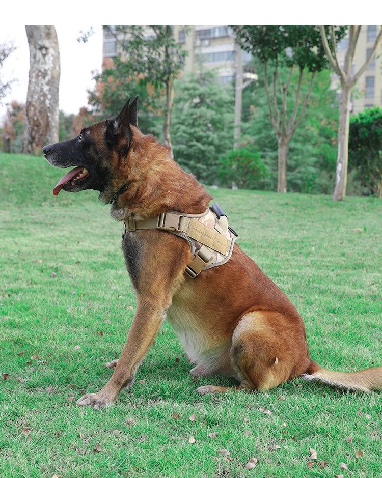 Harnais tactique respirant pour chien avec boucle à dégagement rapide