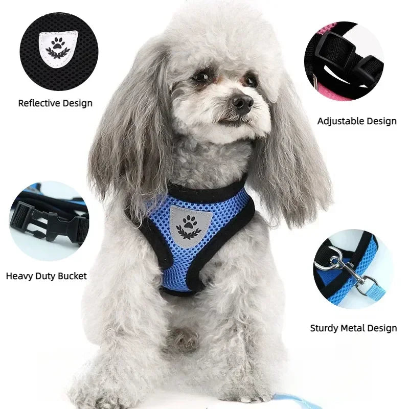 Harnais anti-évasion pour chat et chien avec laisse - Gilet en maille réglable pour la promenade