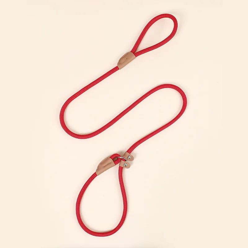 Adjustable Loop Collar Training Leash for Dogs